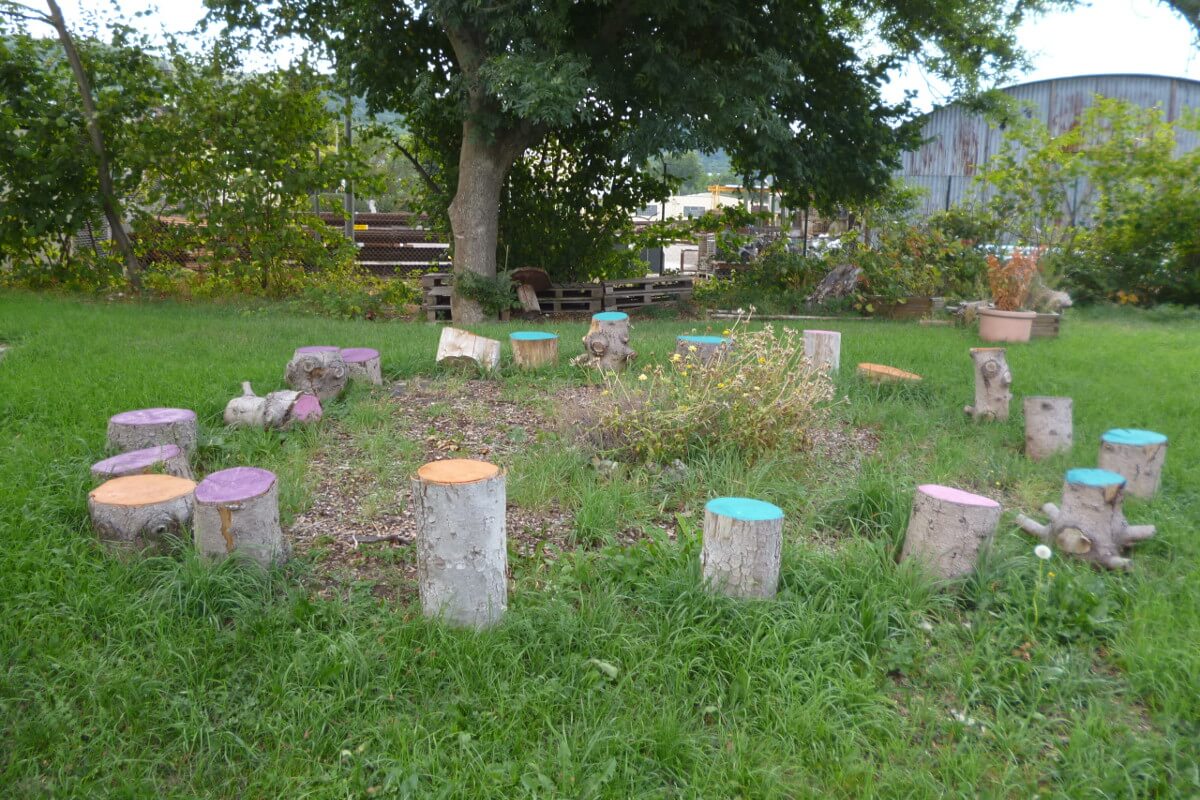 Baumstümpfe im Schulgarten